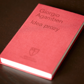 036 Idea prozy 01
